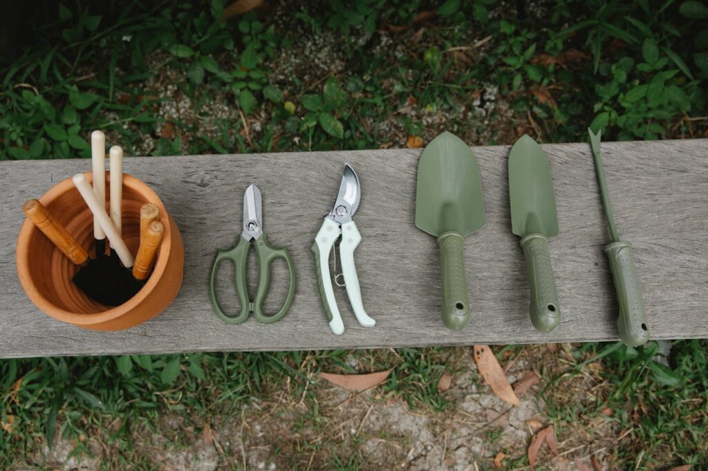 pexels-photo-6231726 Top view of row of scissors secateurs shovels and tools for loosening soil near pot with instruments on wooden bench in garden